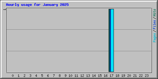 Hourly usage for January 2025