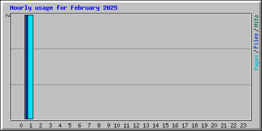 Hourly usage for February 2025