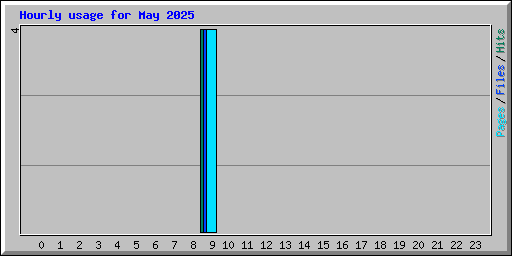 Hourly usage for May 2025